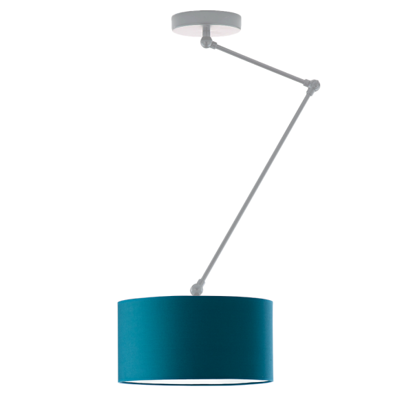 Loftowa lampa sufitowa NEWA regulowana industrialna Srebrny/ Morski 905157